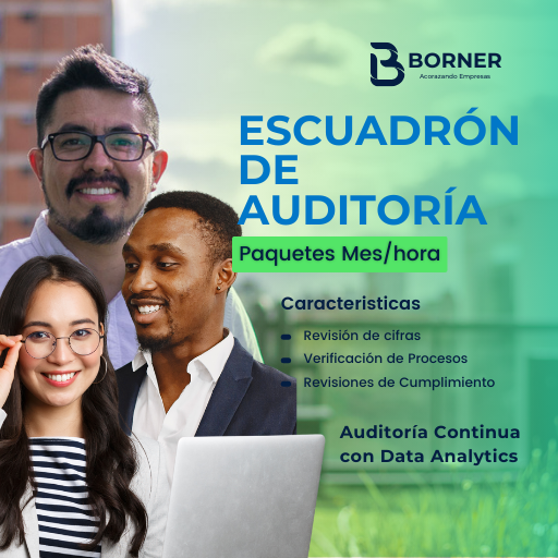 Escuadrón de Auditoría España: Auditoría Continua con Data Analytics (10 Horas)